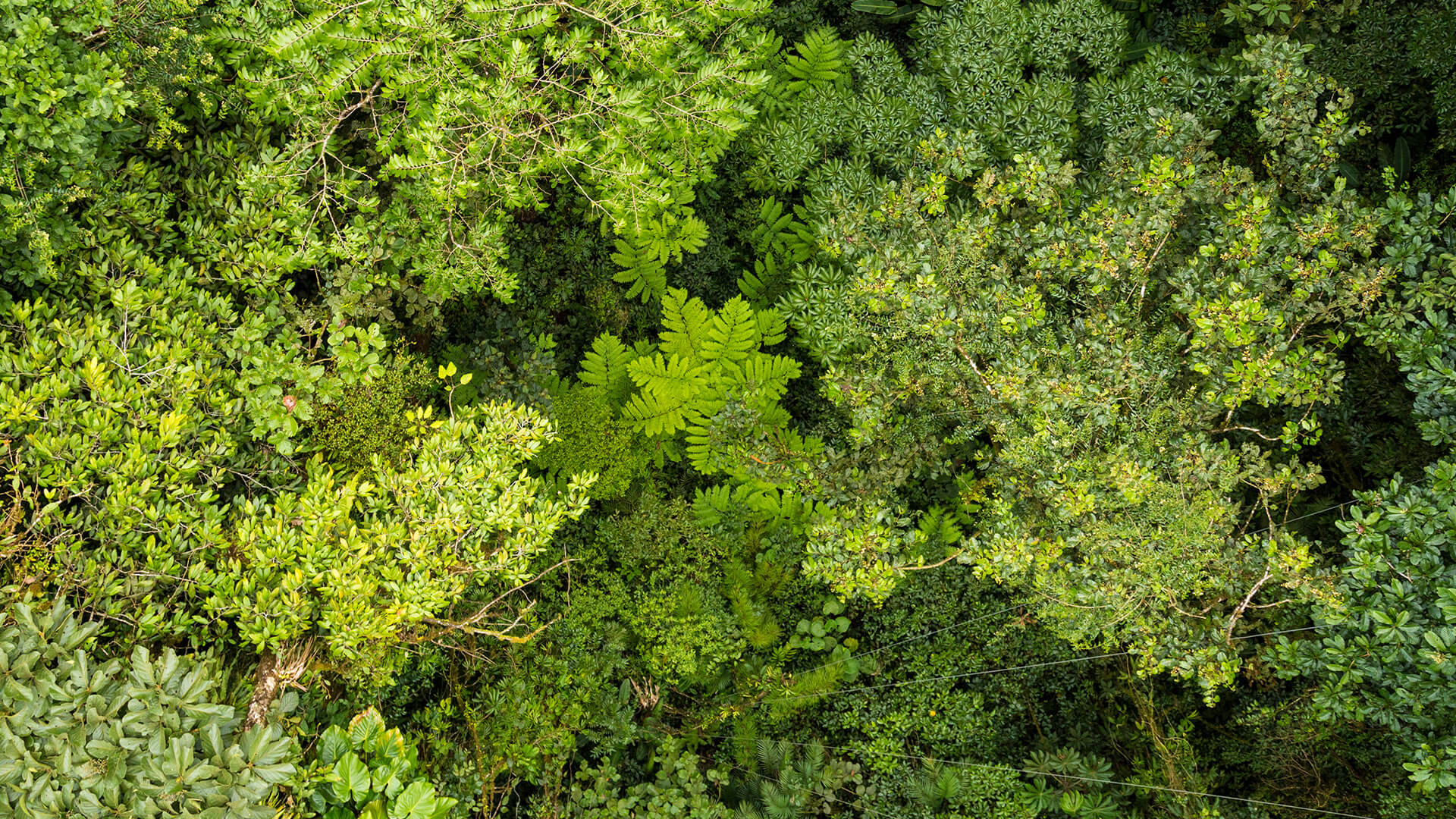 fond nature biodiversité