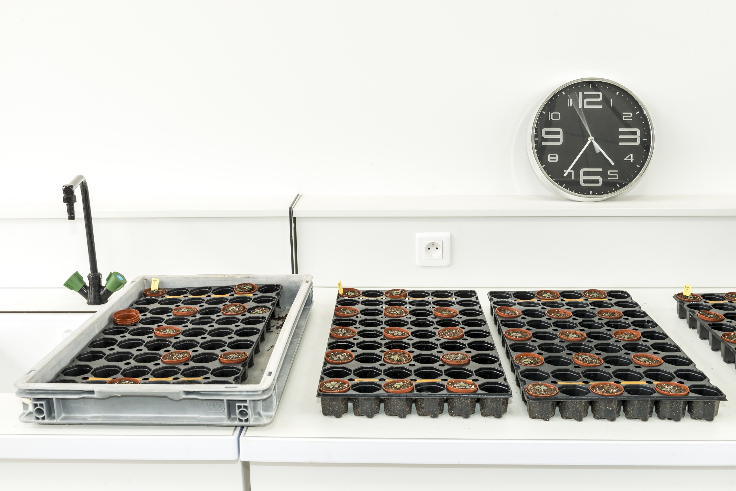Plateforme de recherche agroécologique INRA à Auzeville : laboratoire de 1 030 m² SHON